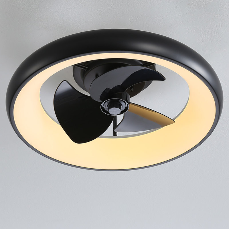 Ceiling Fan with LED Lights