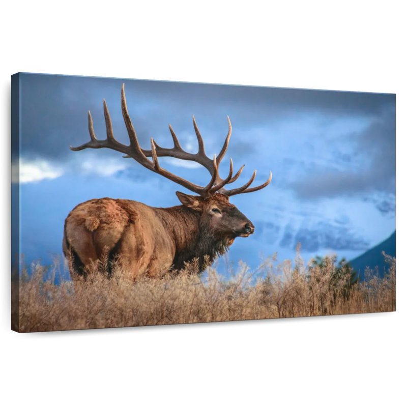 Majestic Bull Elk, 32" H x 48" W