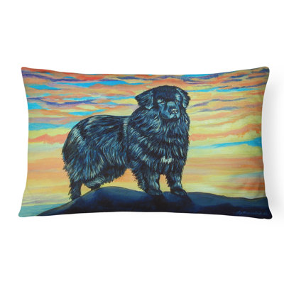 Coussin décoratif intérieur/extérieur terre-neuve