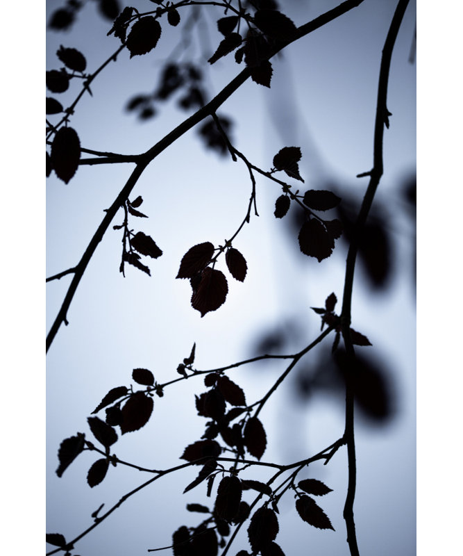 Wrapped Canvas Print, 76.2 cm H x 50.8 cm W
