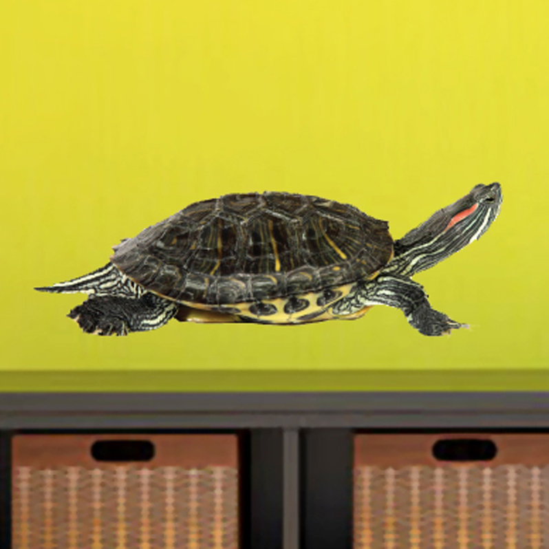 Décalcomanie murale tortue life real life, H 6 po x l 18 po