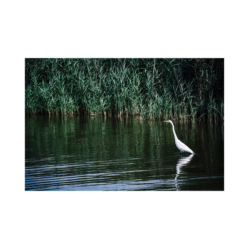 Solitude - Outer Banks, North Carolina by Ann Hudec - Wrapped Canvas Gallery-Wrapped Canvas Giclée, 20.32 cm H x 30.48 cm W