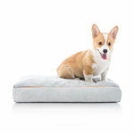 Costello Orthopedic Suede Pet Bed