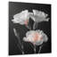 Décoration murale œillets parfumés monochrome noir et blanc II - Œillets-917785215-954635208