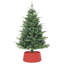 Polyethylene Plastic Live Tree Stand For Max. Tree Height 6 - 7.9 Ft.-203518895-203518894