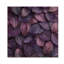 Plum Leaves Evening Collage I - Art mural en bois de feuilles - sur bois de pin naturel-451651892