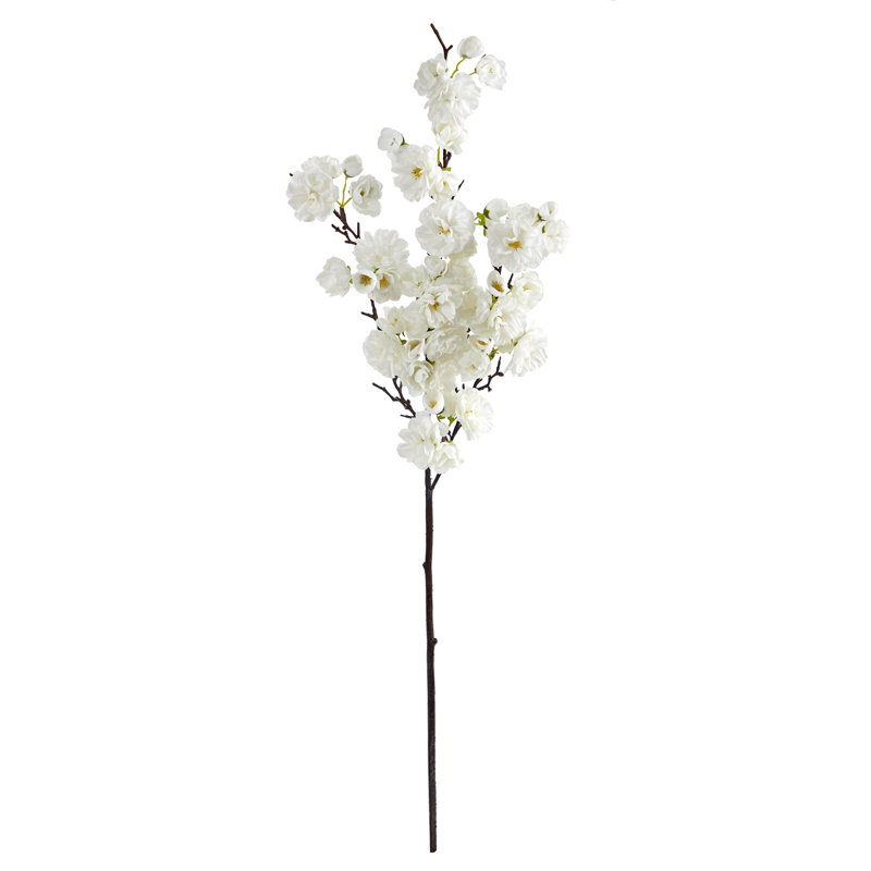 Tige de cerisier en fleurs, Blanc