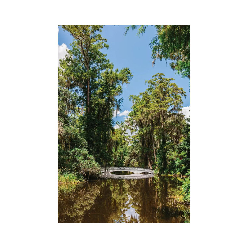 Charleston's Magnolia Plantation V par Bethany Young - reproduction de photo sur toile tendue, H 18 po x l 12 po x 1,5 po