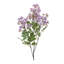 Vaporisateur floral lilas-497387422