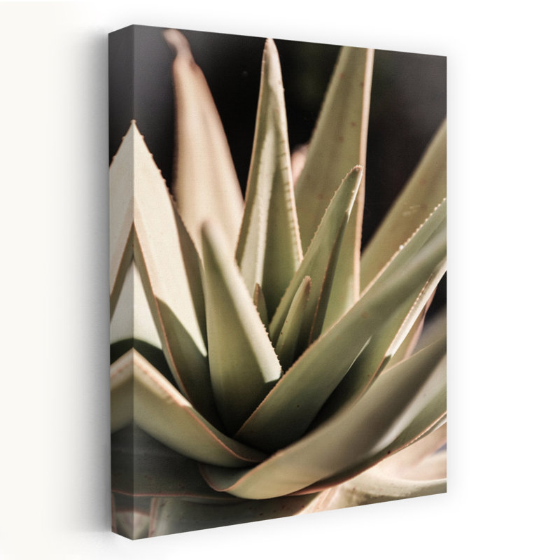 Art contemporain contemporain avec cactus, H 24 po x l 16 po