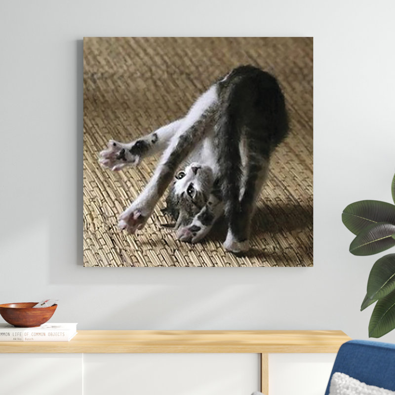 Cat Yoga IV, H 36 po x l 36 po