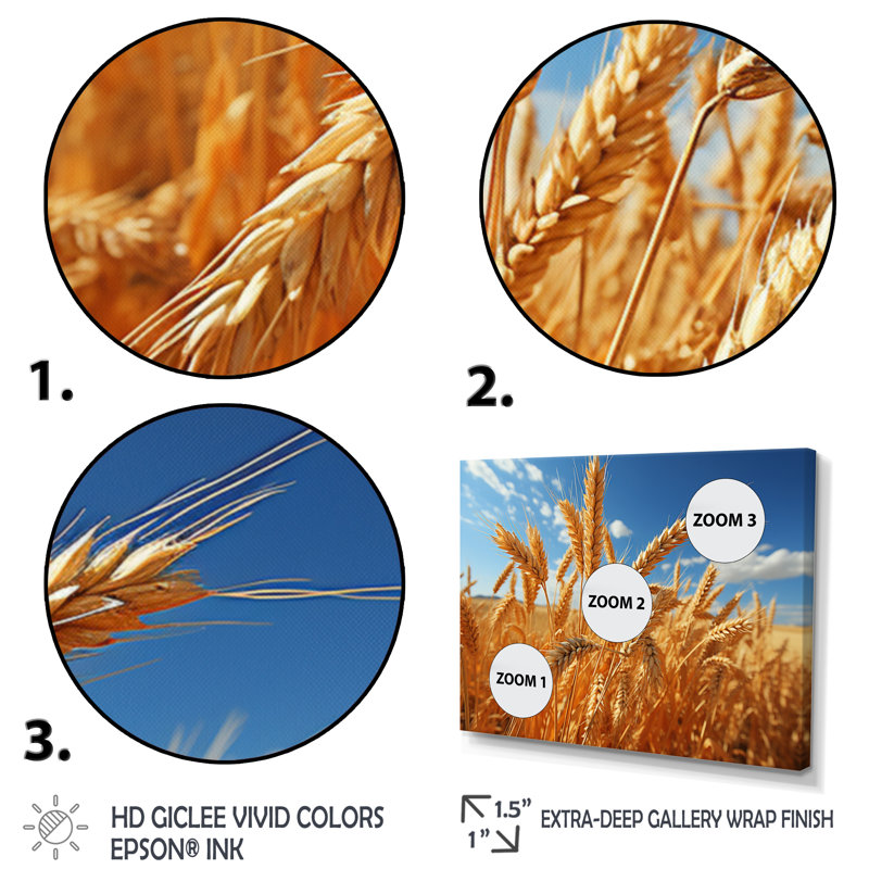 Canada Golden Harvest I - impression, Toile tendue, H 34 po x l 44 po x P 1,5 po