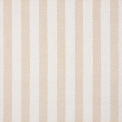 Ashmore Stripe Fabric