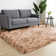 Alexanda Standard Shag Area Rug