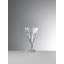 Giada Goblet-57243975-57243976