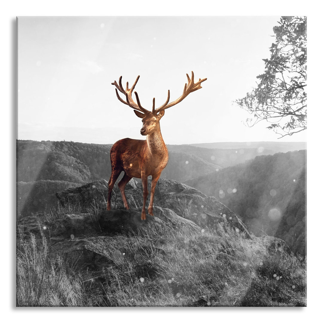 Glasbild Anmutiger Hirsch bei Sonnenuntergang