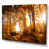 Wrapped Canvas is unavailable