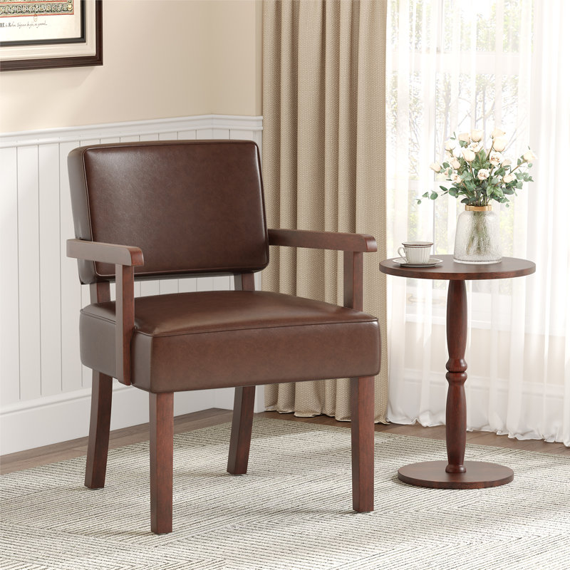 Naethan Upholstered Arm Accent Chair for Living Room, Accent Armchair, Dark Brown
