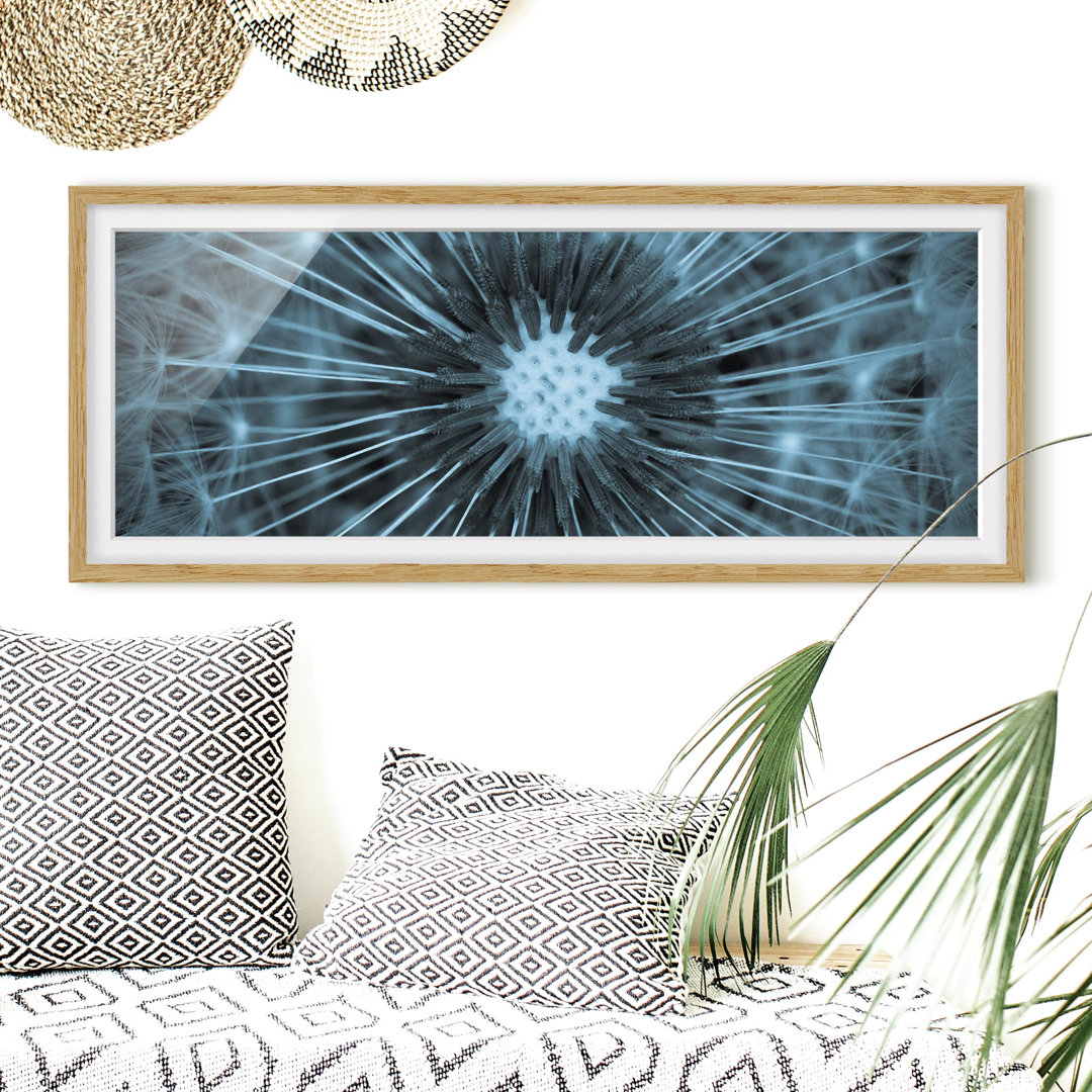 Gerahmtes Poster Blue Tinted Dandelion