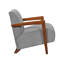 Armchair Accent Chair-1184396898