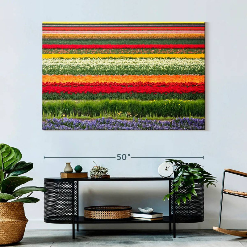 Rorry Bollenstreek Tulips, 34" H x 51" W