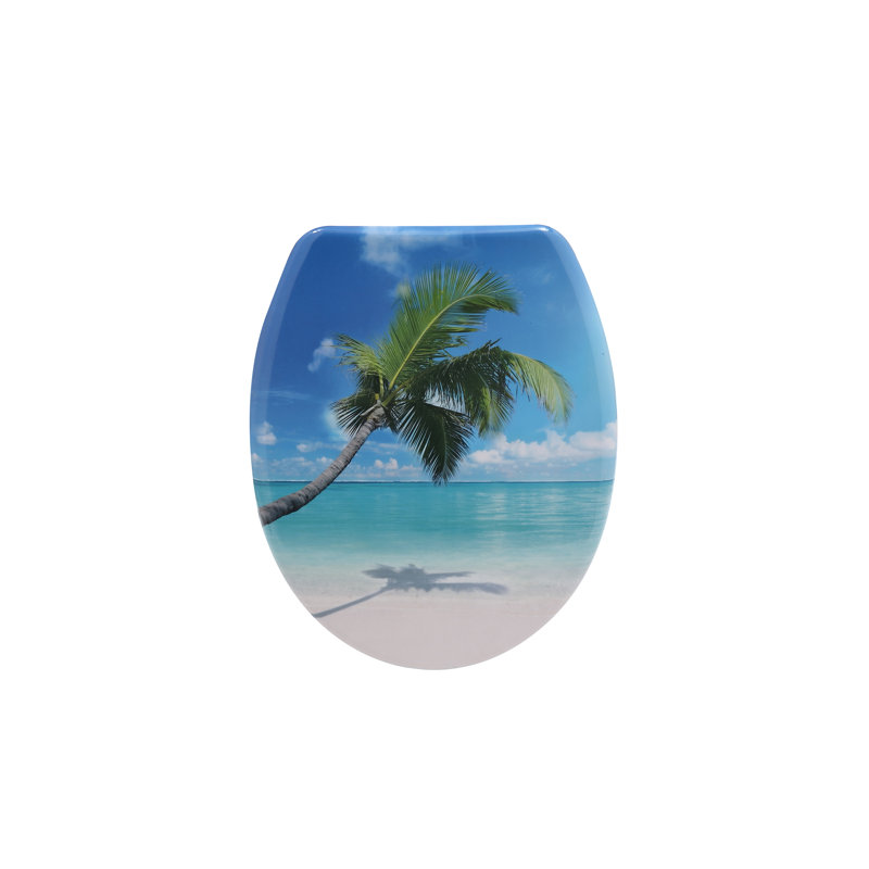 Soft Close Elongated Toilet Seat