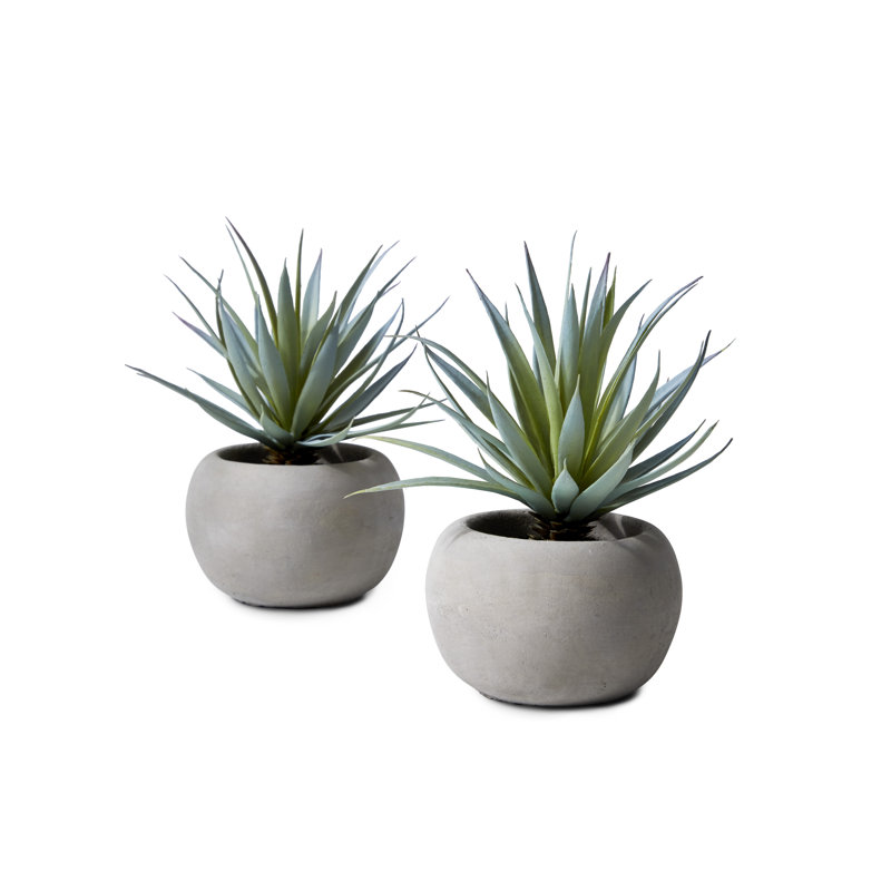 8'' Evergreen Grass in Stone Pot, 1