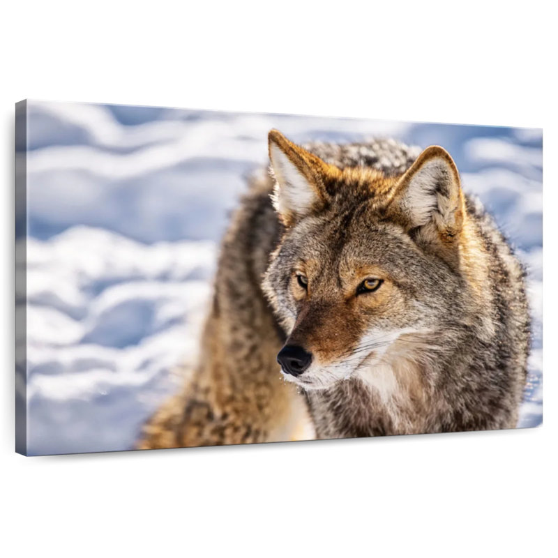 Hunting Wolf, 30" H x 45" W