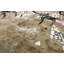 Windsom Hand-Knotted High-Quality Black Area Rug-47856319