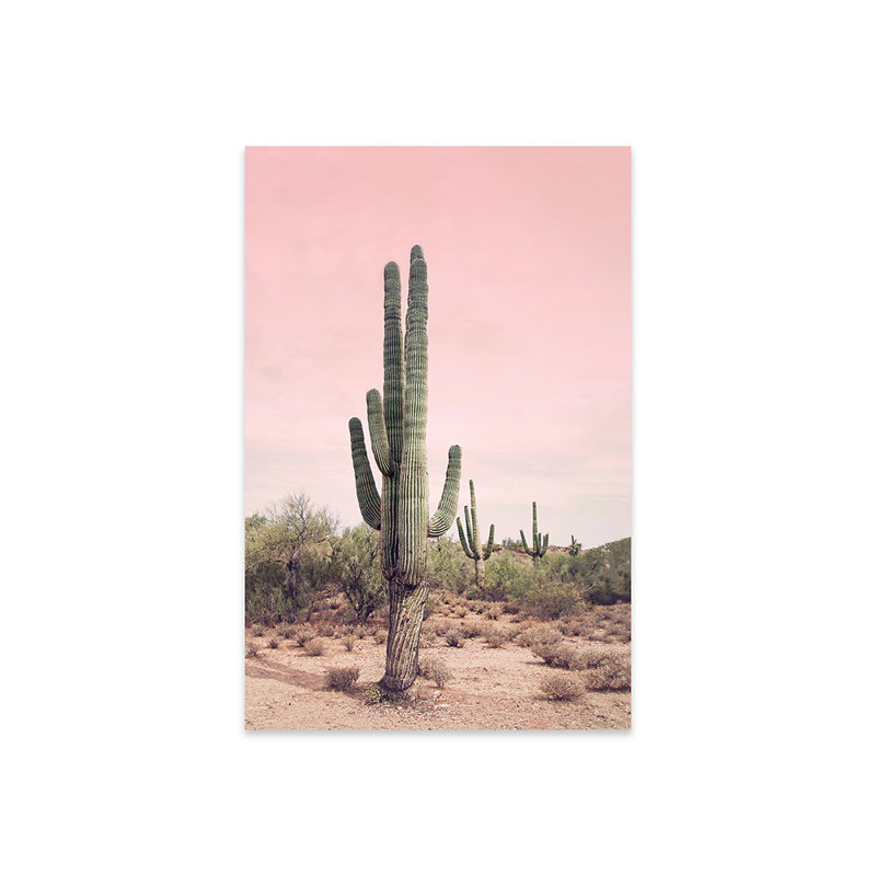 Cactus du désert, rosé imprimé sur verre acrylique, H 32 po x l 24 po x P 0,25 po