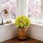 24 po Gloire matinale artificielle jaune avec eucalyptus, arrangement floral artificiel dans un pot noir-401407775