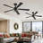 Cissline 2-Pack 48" Industrial Black Caged Ceiling Fan with Light Kit and Remote-91942191