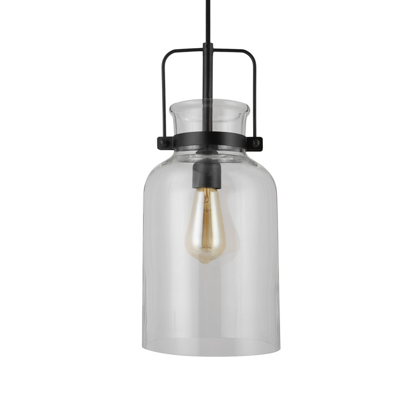Luminaire suspendu bocal unique 1 lumière Nouvelle
