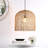 Axelle 1 - Light Natural/Black Single Pendant