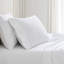 Ensemble de draps en coton Martha Stewart Lilly Pond Leaf-119136810-119136817