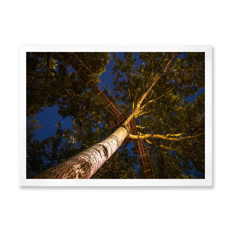 Faible angle de vue des arbres avec une allée - reproduction sur toile, H 34 po x l 44 po, Cadre photo blanc