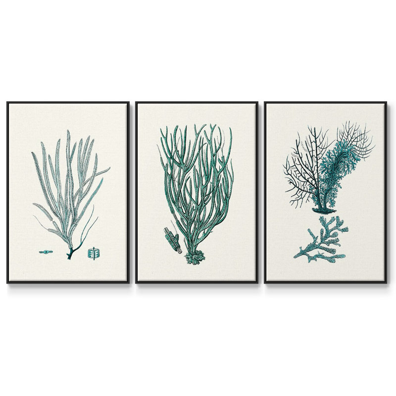 Ensemble de 3 toiles tendues à motif de corail antique, H 27 po x l 54 po, Noir