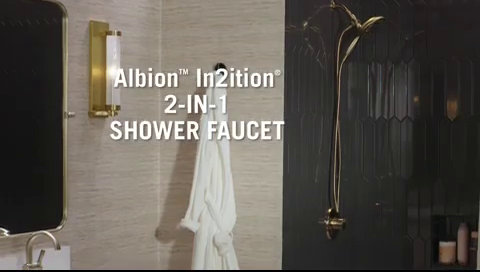 Albion Brushed Nickel Multi-Function Handheld Shower System