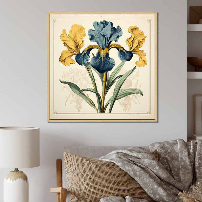 Illustration rétro d'iris bleus jaunes sur toile, Cadre flottant brun, H 36 po x l 36 po x P 1,5 po