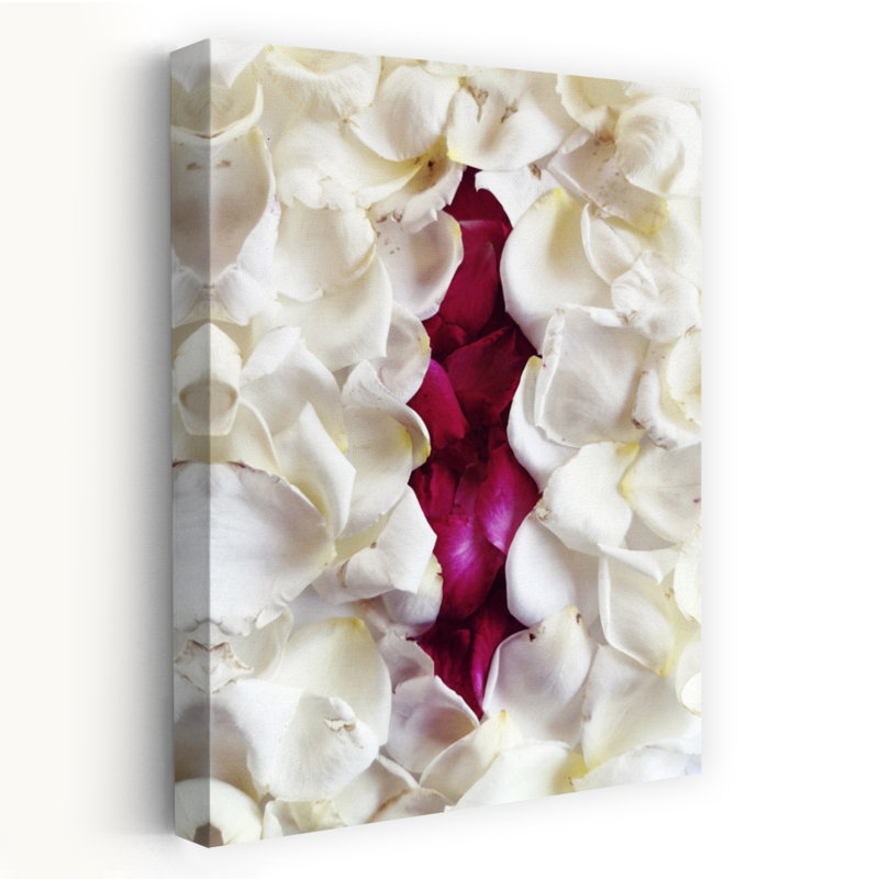 Contemporary Art Modern Romantic Nature Flower Wall Art by Angelo Cerantola - Wrapped Canvas Print, 60.96 cm H x 40.64 cm W