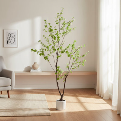 Enkianthus japonais en pot 78 po Everleaf