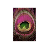 Magenta Feather I Print by Mari Urasawa