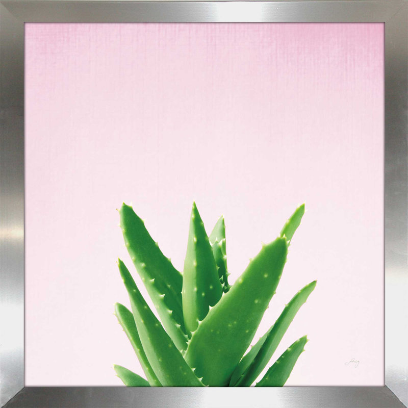 «Succulent Simplicity V on Pink», reproduction de photo sur toile, H 25,5 po x l 25,5 po x P 1 po, Encadrement argenté