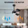Boun 42'' Ceiling Fan with LED Lights