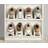 Joseph Joseph Shoe-in Compact Space-saving Shoe Organizer, Set of 6
