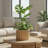 Round Strata Planter-1420035758-1420035756