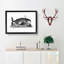Great Whale in Black and White by George Shaw - Picture Frame Drawing Print-55575479-55575478