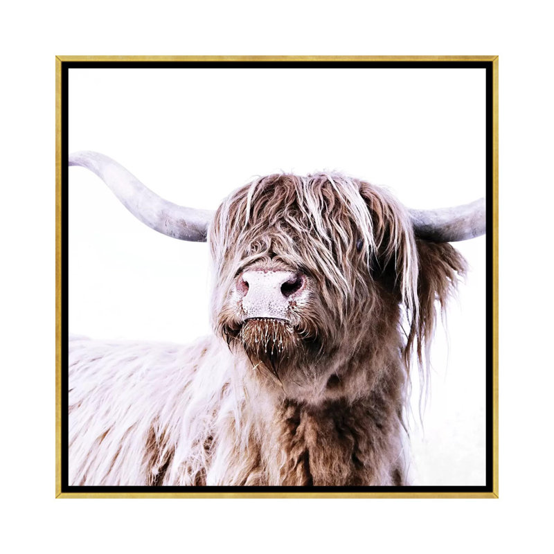 «Highland Bovins Frida I Square» par Monika Strigel - reproduction, Toile encadrée d'or, Pas de tapis