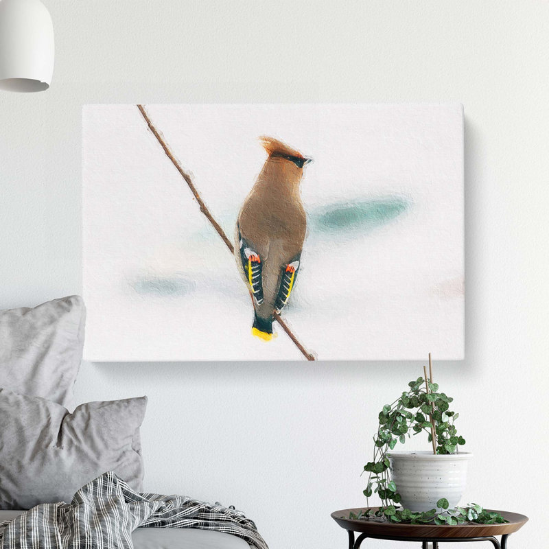 Bohemian Waxwing Bird - Wrapped Canvas, 35cm H x 50cm W x 3cm D