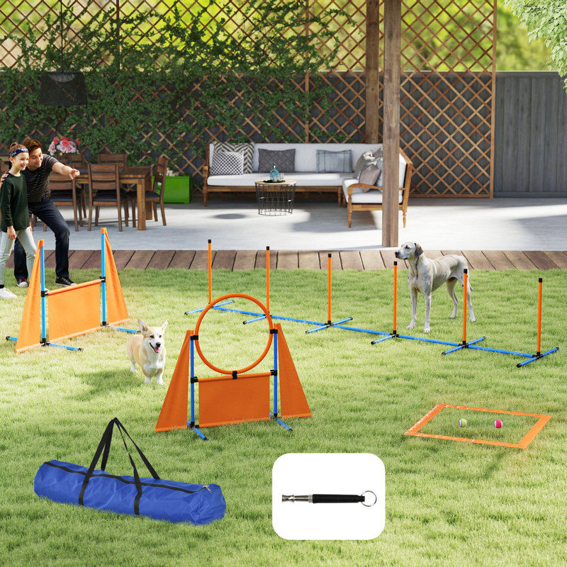 69cm H Dog Agility
